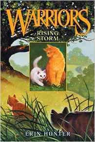 Rising Storm (Warriors, Book 4)