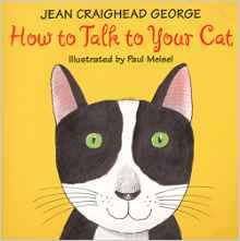 How to Talk to Your Cat (Talk to Your Pets)