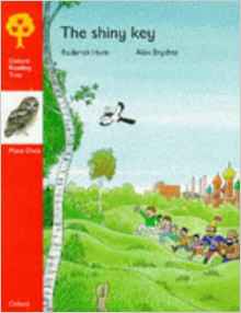 Oxford Reading Tree: Stage 6: More Owls Storybooks: Shiny Key (Oxford Reading Tree)