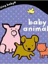 Baby Animals: Amazing Baby