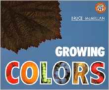 Growing Colors (Avenues)