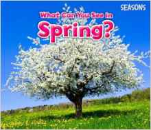 What Can You See in Spring?