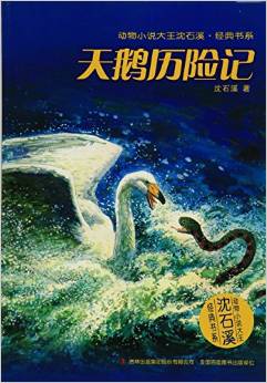 動物小說大王沈石溪·經典書系  天鵝歷險記