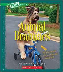 Animal Brainiacs (True Books: Amazing Animals)