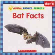 Bat Facts