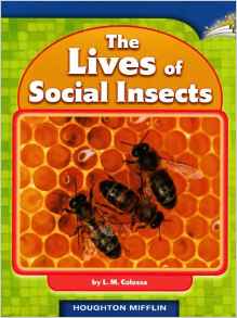 The Lives of Social Insects