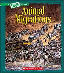 Animal Migrations (True Books: Amazing Animals)