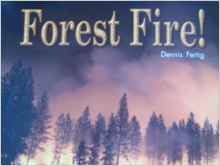 Rigby Literacy by Design: Leveled Reader Grade 2 Forest Fire!