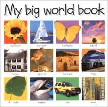 My Big World Book (My Big Board Books)