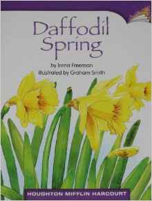 Daffodil Spring