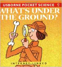 What's Underground? (Usborne Pocket Science)