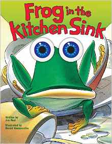 Frog in the Kitchen Sink