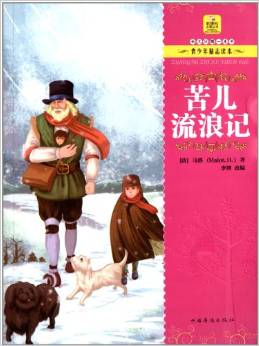 新課標(biāo)必讀叢書·長大只需一本書:苦兒流浪記