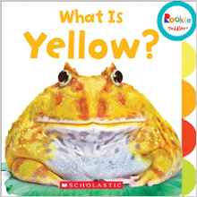 What Is Yellow? (Rookie Toddler)