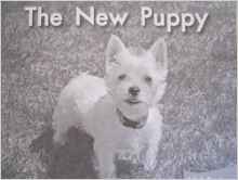 The New Puppy (Fountas and Pinnell Leveled Literacy Intervention Books, Green System, Level A, Book 3)