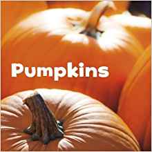 Pumpkins (Little Pebble: Celebrate Autumn)