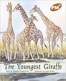 The Youngest Giraffe PM PLUS Orange 16 (Progress with Meaning)