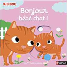 Bonjour Bebe Chat !