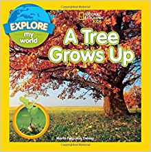 Explore My World A Tree Grows Up