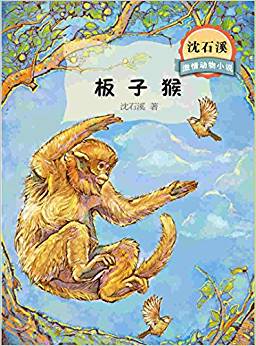 沈石溪激情動物小說: 板子猴