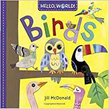 Hello, World! Birds