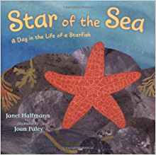 Star of the Sea: A Day in the Life of a Starfish