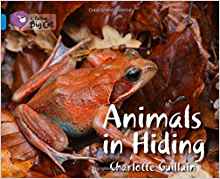 Animals in Hiding(Collins Big Cat)