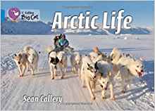 Arctic Life(Collins Big Cat)