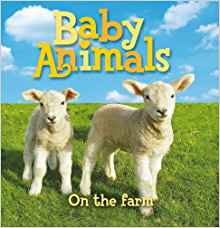 Baby Animals On The Farm