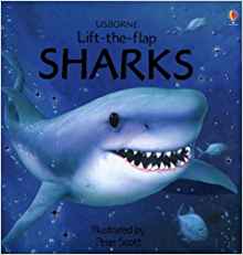 Sharks (Usborne Lift-the-Flap Learners)