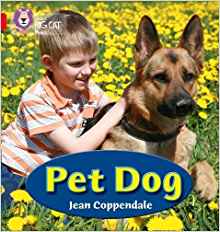 Pet Dog(Collins Big Cat Phonics)