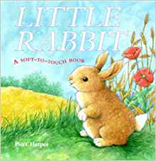 Little Rabbit: A Soft-to-Touch Book