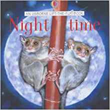 Night-time (Lift the Flap Learners)