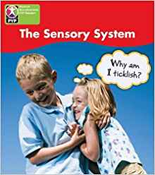 Sensory System Single