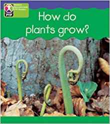 How Plants Grow Single