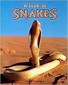Steck-Vaughn Pair-It Premier: Student Reader Grade 2 Look at Snakes, A