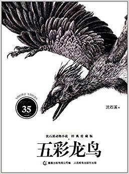 沈石溪動物小說經(jīng)典愛藏版·五彩龍鳥