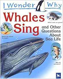 I Wonder Why Whales Sing