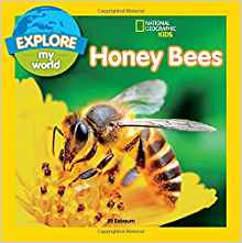 Explore My World: Honey Bees