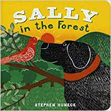 Sally in the Forest (Sally Board Books)