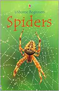 Spiders (Usborne Beginners)