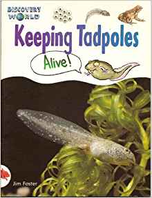 Dw-2 Rd Keeping Tadpoles Is (Discovery World Series: Red Level)