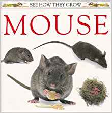 Mouse (See How They Grow)