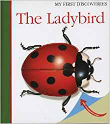 The Ladybird