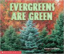 Evergreens Are Green (Science Emergent Readers)