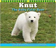 Knut The Baby Polar Bear