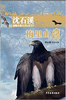 沈石溪動物小說大party: 梅里山鷹