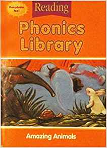 Houghton Mifflin Reading: The Nation's Choice: Phonics Library (8 stories) Grade 2