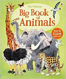 Big Book of Animals (Big Books)