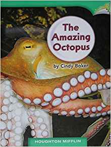 The Amazing Octopus